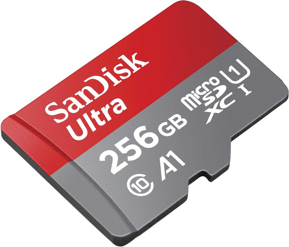 SanDisk Ultra SDSQUNC256 256GB MicroSDXC Memory Card - Lockdown Security